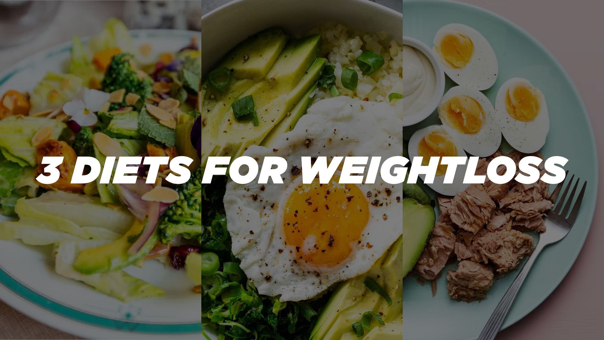 3 Powerful Diets for Weight Loss: What to Expect & Meal Ideas