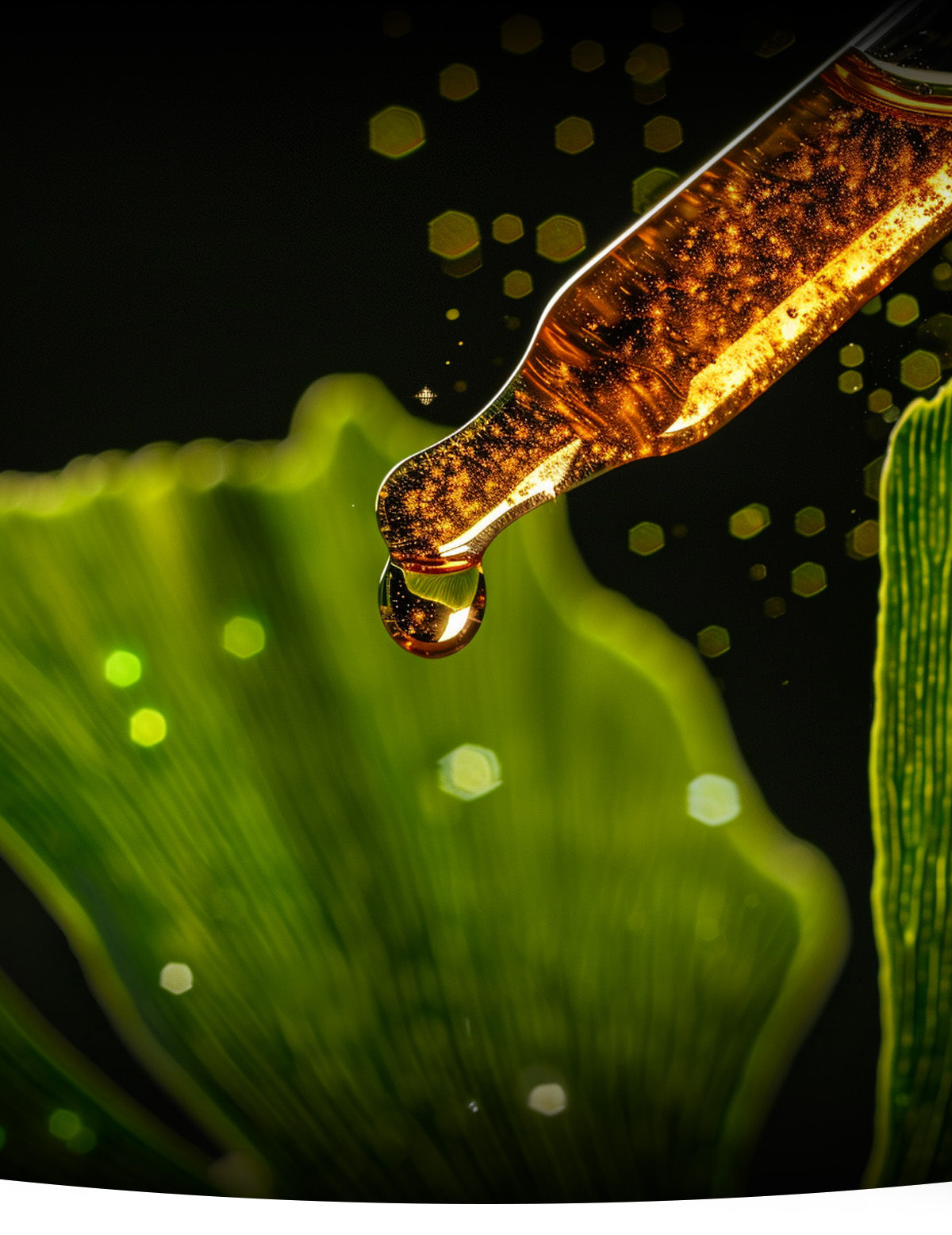 Lifestyle & Diet for Brain Health