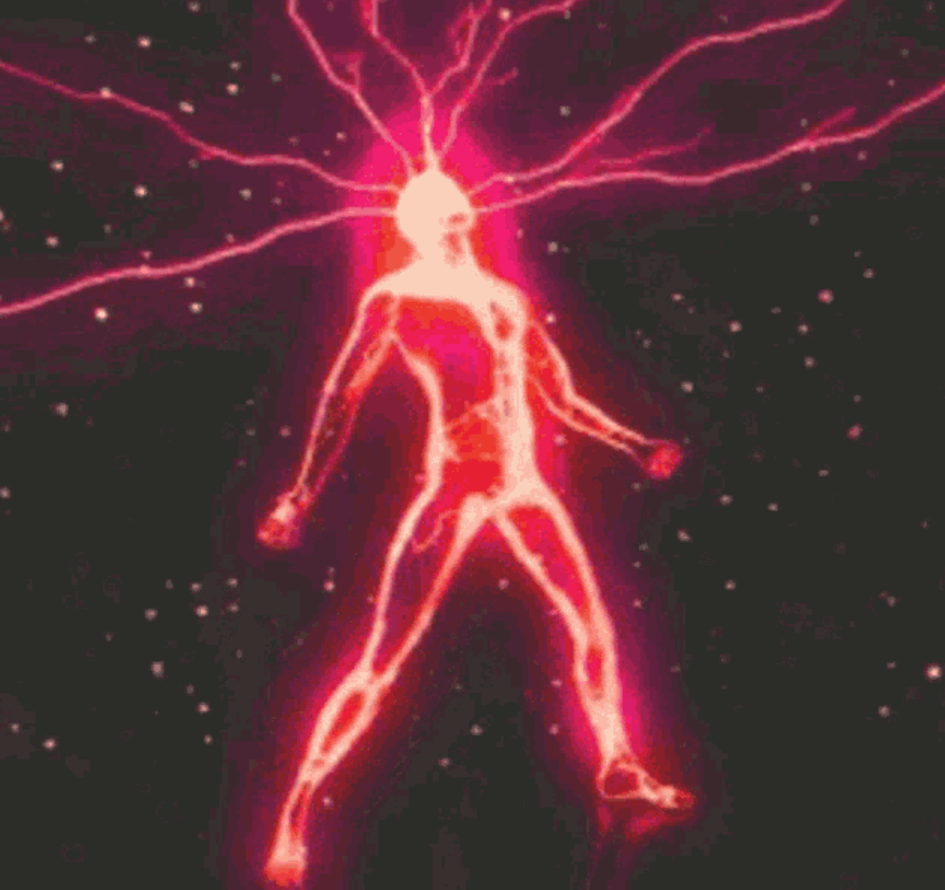 How Rhodiola and Cordyceps Can Supercharge Your Fitness Results