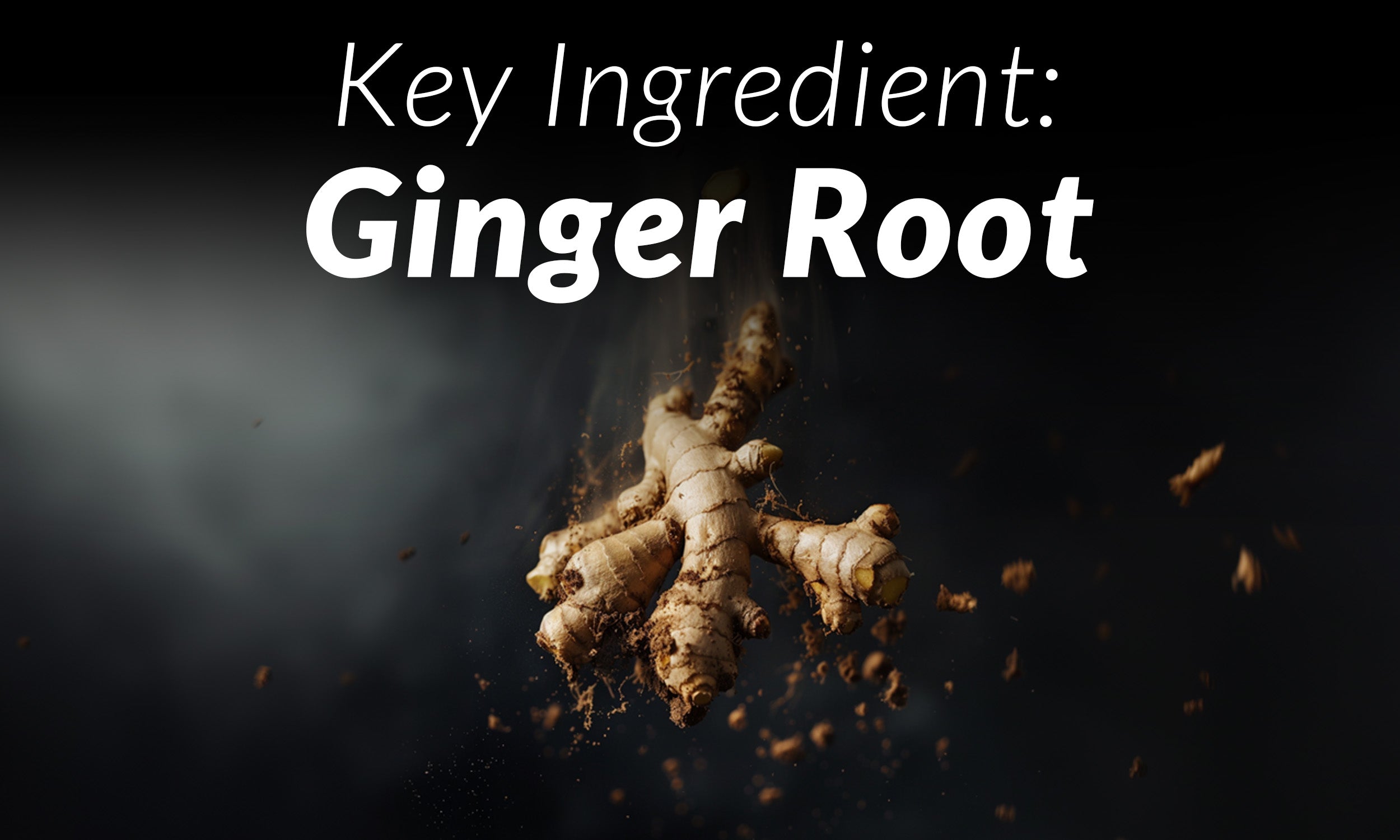 Key Ingredient: Ginger Root