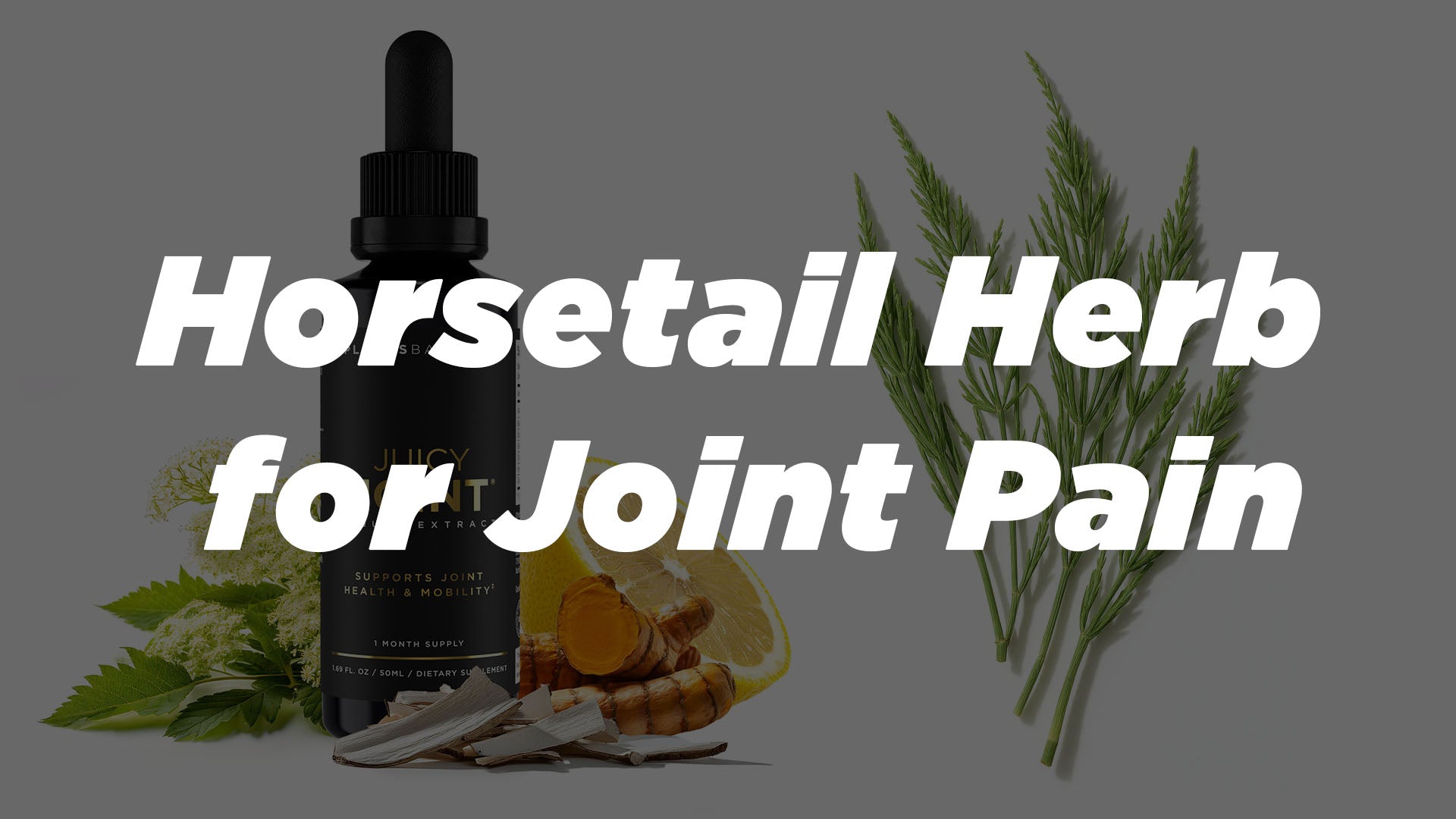 Horsetail Herb for Joint Pain: Natural Silica That Supports Back, Neck, and Arthritis Relief