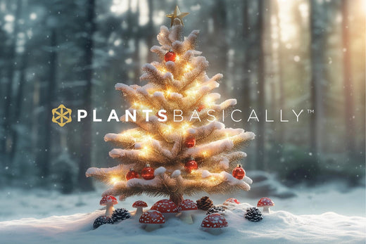 A Christmas Tale: Santa, Mushrooms, and Dancing Reindeer