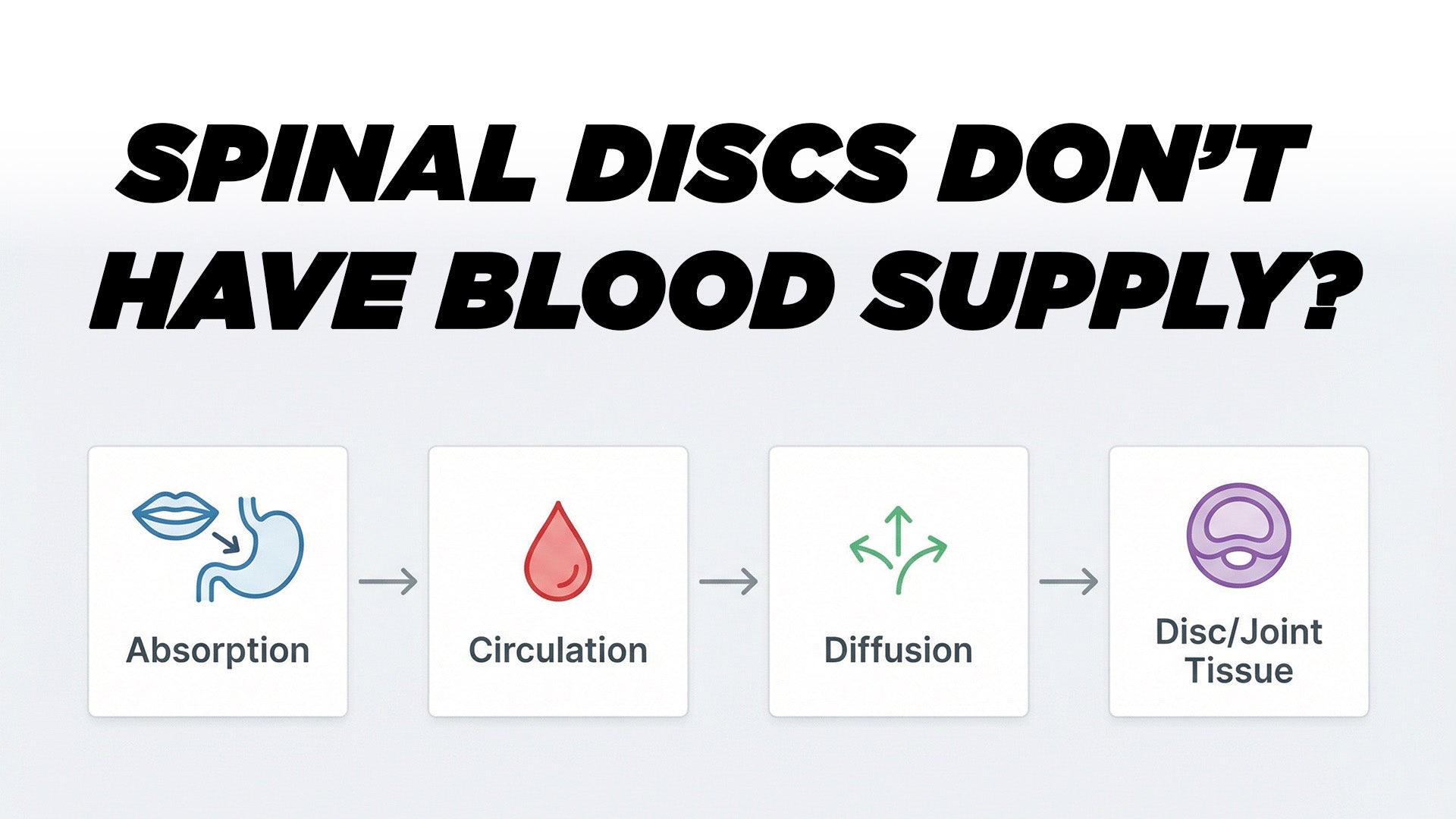 If Spinal Discs Don’t Have Blood Supply… How Does Anything Help Them?