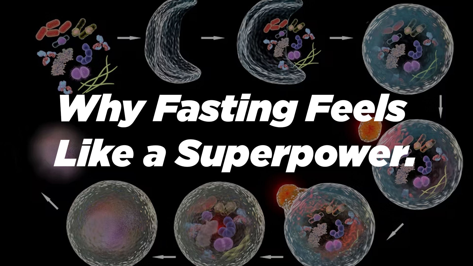 Fasting: Unleashing Your Body’s Hidden Superpowers Through Science