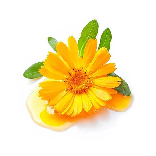 Calendula Flower (organic)