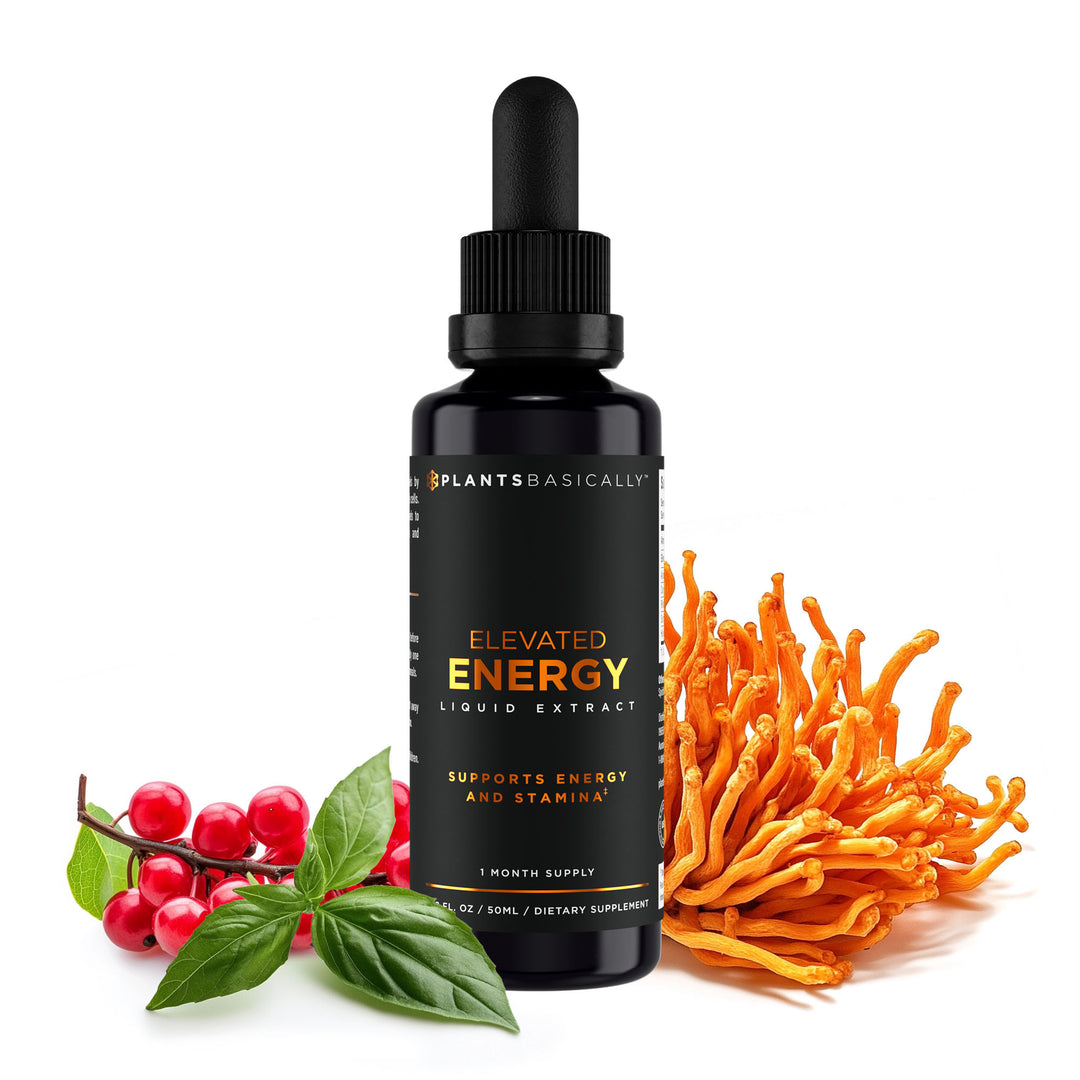 Elevated Energy