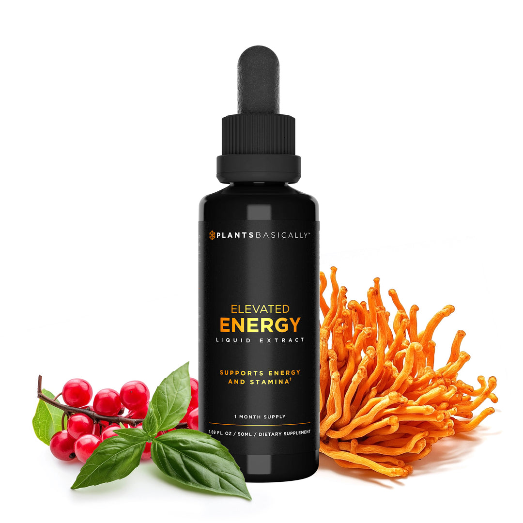 Elevated Energy