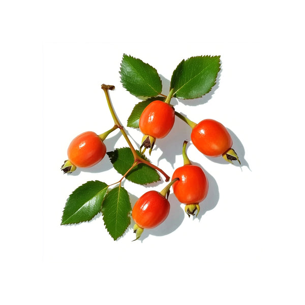 Rose Hip