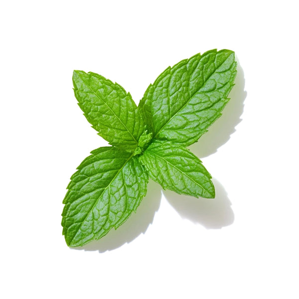 Peppermint Leaf